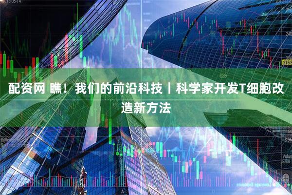 配资网 瞧！我们的前沿科技丨科学家开发T细胞改造新方法